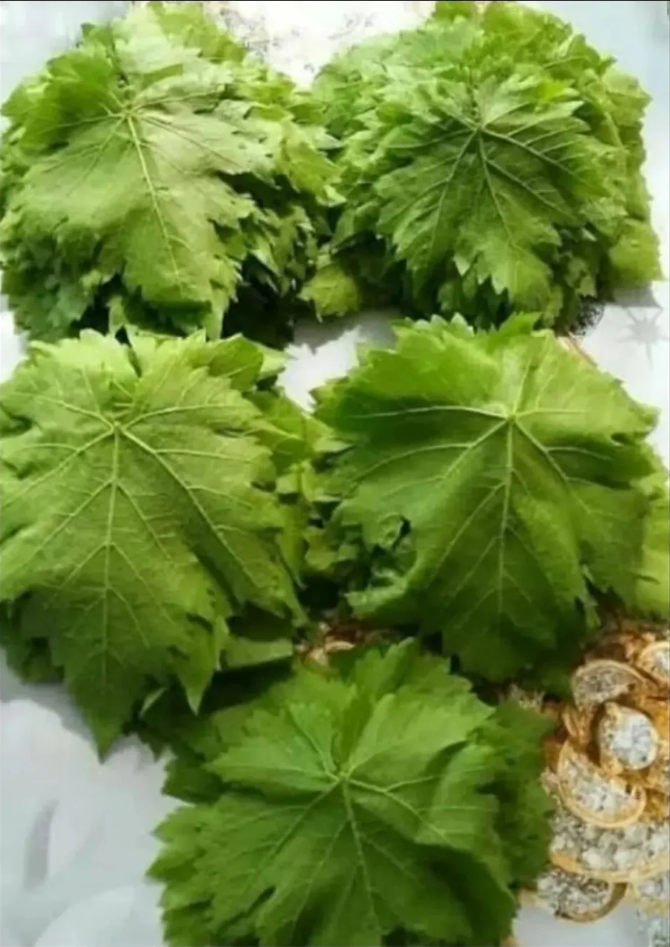 Üzüm — Meyvə və Giləmeyvə, Bakı