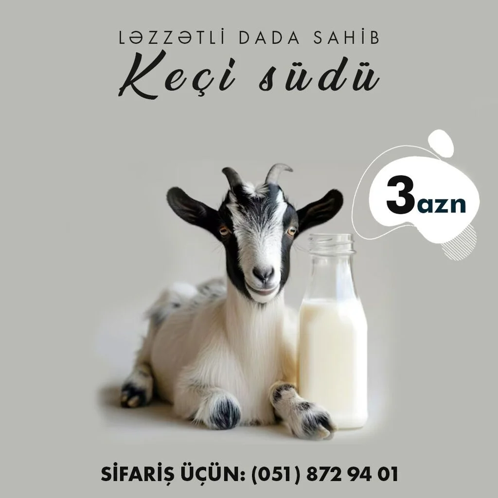 Süd — Emal Olunmuş K/t Məhsulları, Bakı