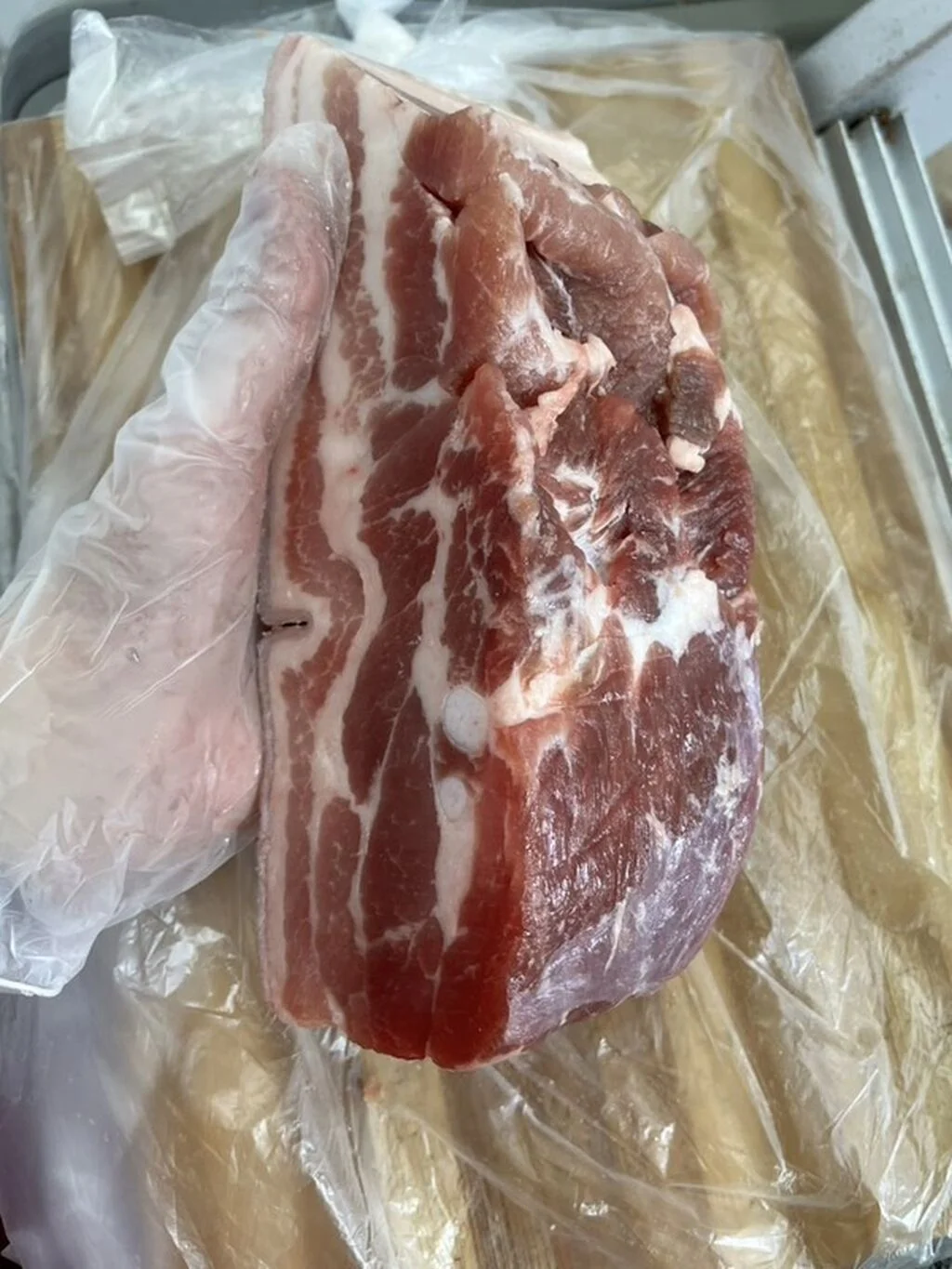 Donuz əti — Heyvanlar, Quşlar, Balıqlar, Bakı