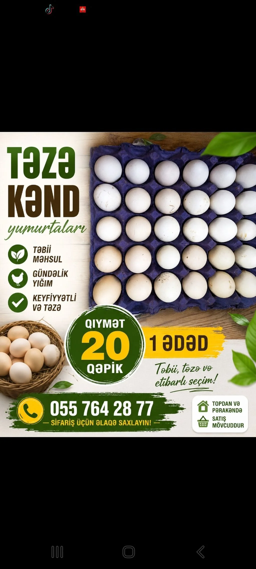 Yumurta — Heyvanlar, Quşlar, Balıqlar, Bakı