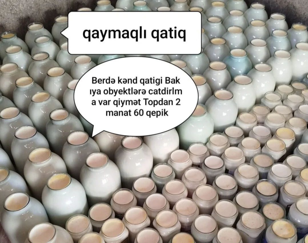 Qatıq — Emal Olunmuş K/t Məhsulları, Bərdə