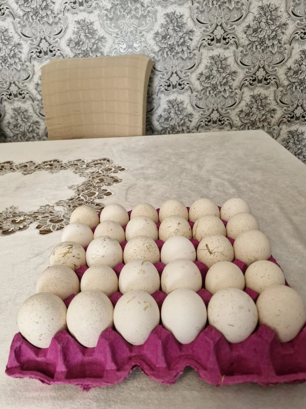 Yumurta — Heyvanlar, Quşlar, Balıqlar, Bakı