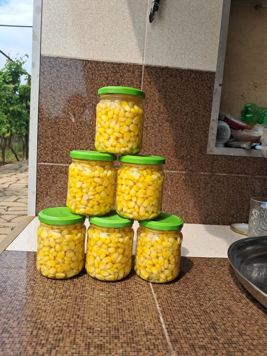 Qarğıdalı — Dənlilər, Otlar Yemlər,  Bitkilər, Şirvan