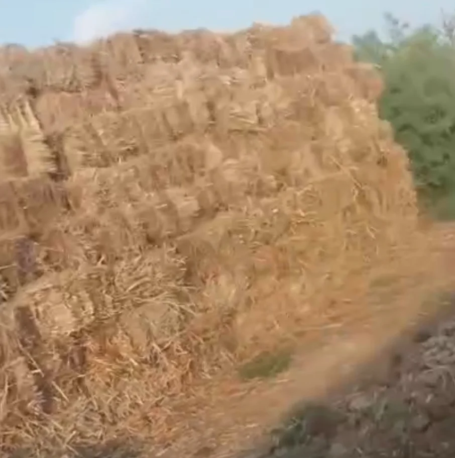Hay bales — Grains, Herbs, Feed, Plants, Hajigabul