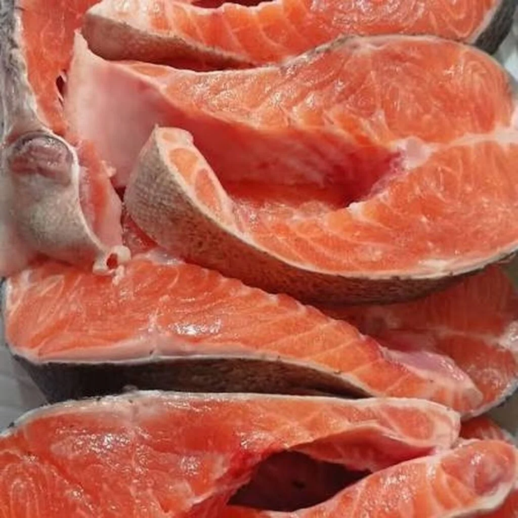 Forel — Heyvanlar, Quşlar, Balıqlar, Bakı