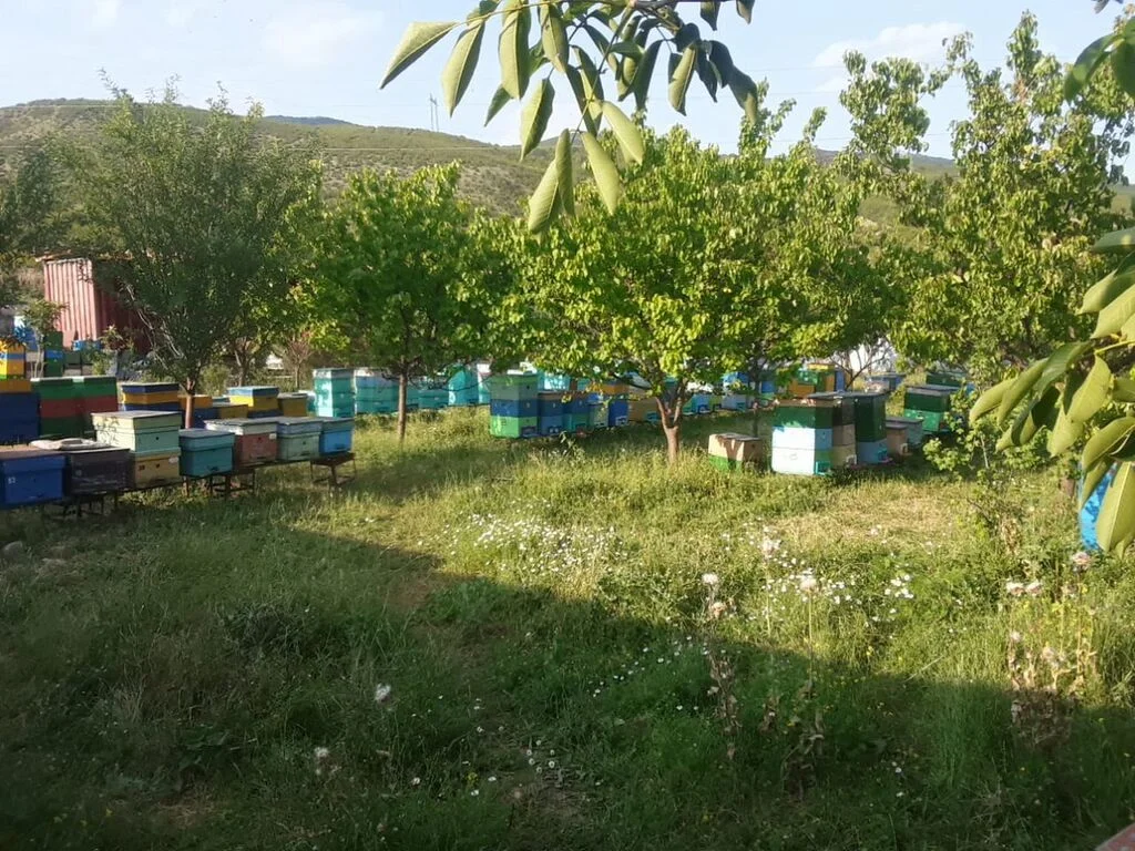 Bal — Emal Olunmuş K/t Məhsulları, Bakı