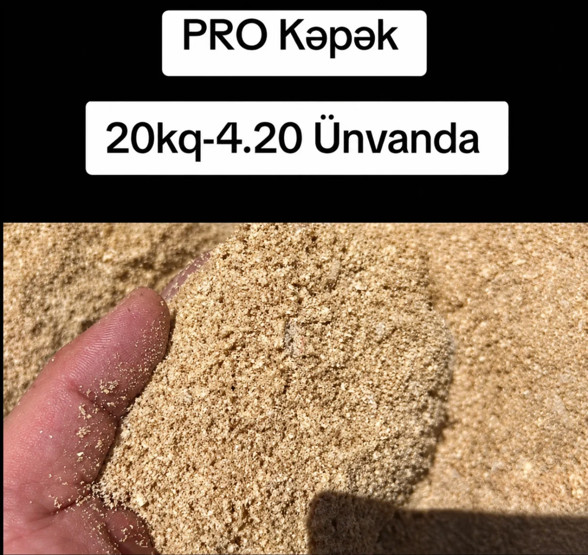 Kəpək — Dənlilər, Otlar Yemlər,  Bitkilər, Bakı