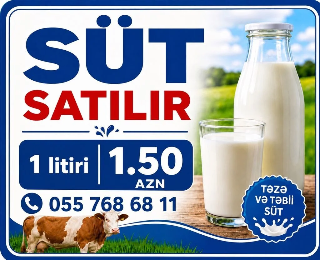 Süd — Emal Olunmuş K/t Məhsulları, Bakı