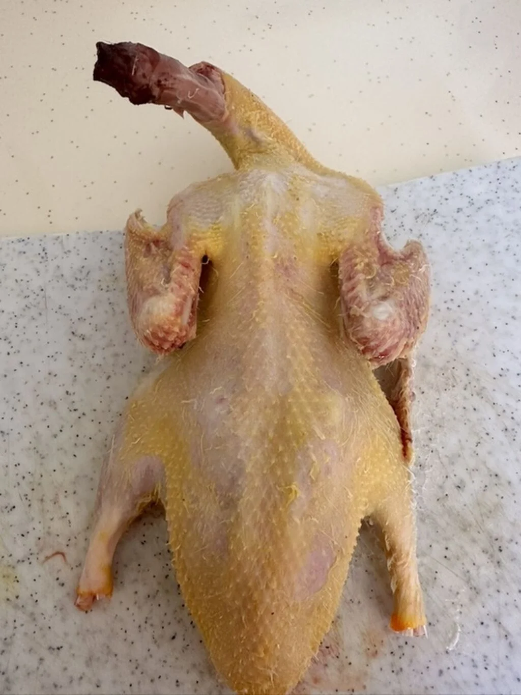 Ördək əti — Heyvanlar, Quşlar, Balıqlar, Mingəçevir