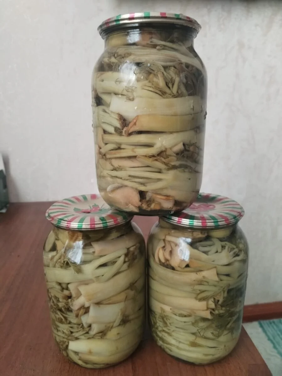Çaşır turşusu — Emal Olunmuş K/t Məhsulları, Bakı