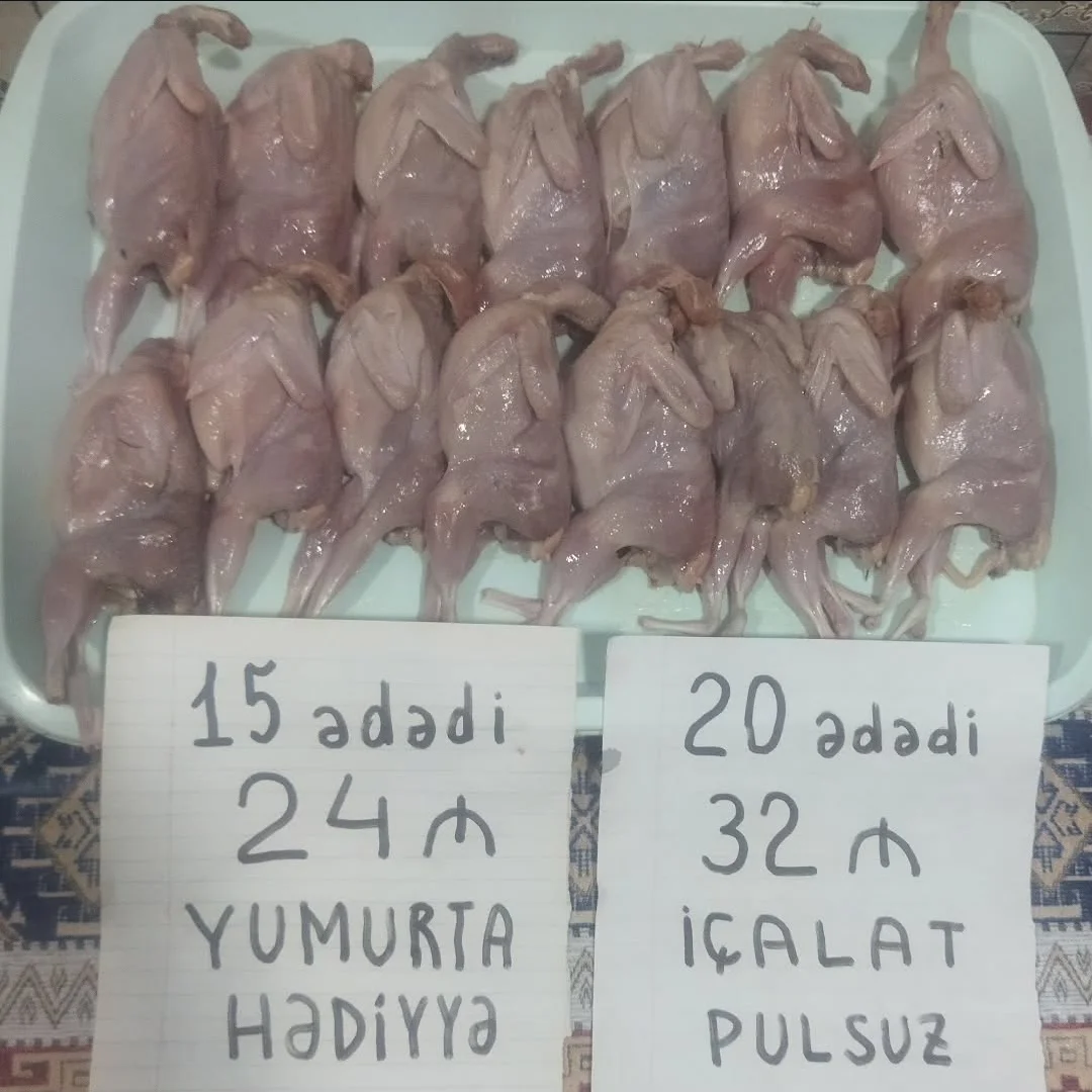 Bildirçin — Heyvanlar, Quşlar, Balıqlar, Bakı