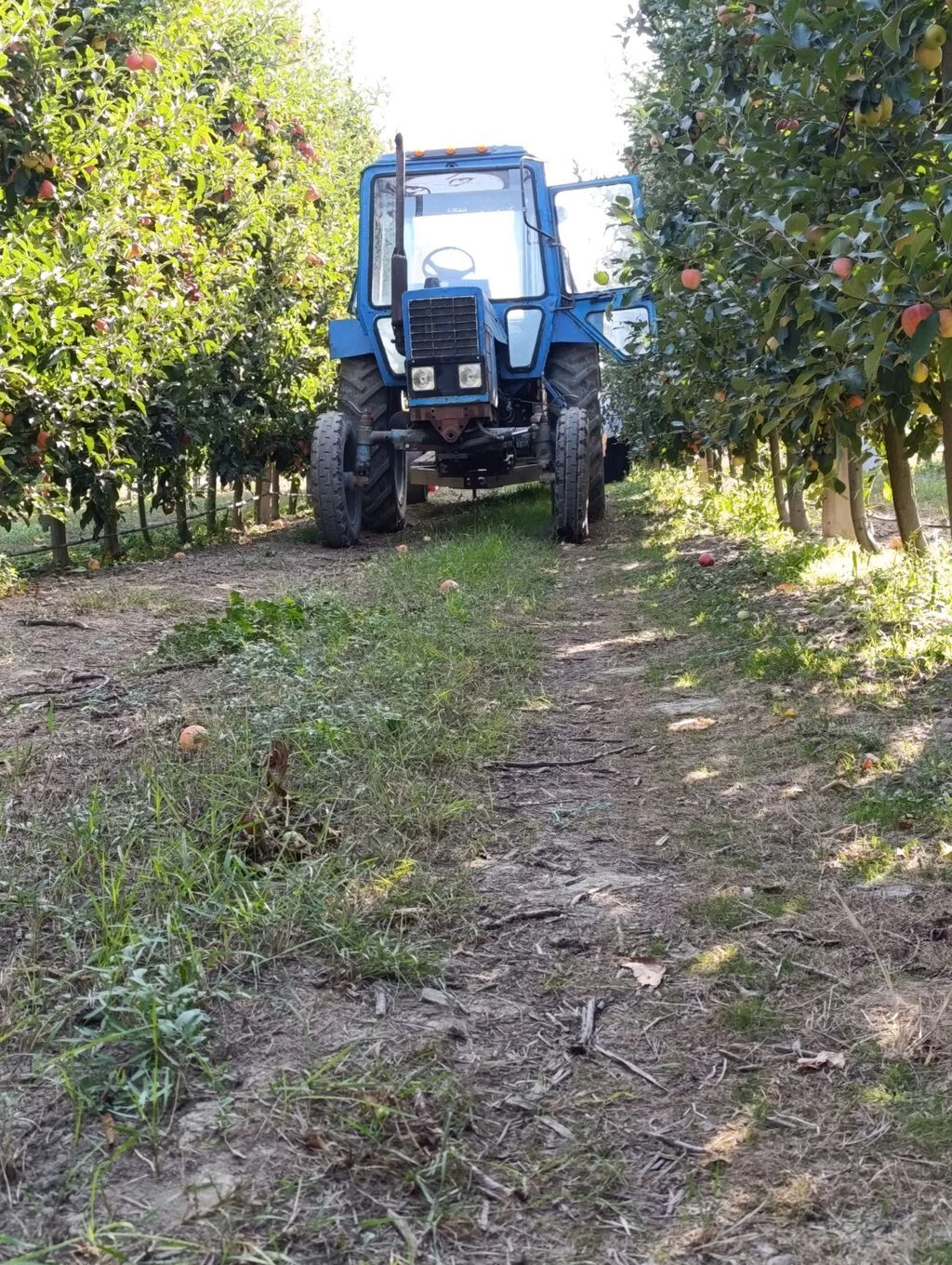 Traktor — K/T texnikası və ehtiyyat hissə, Qusar