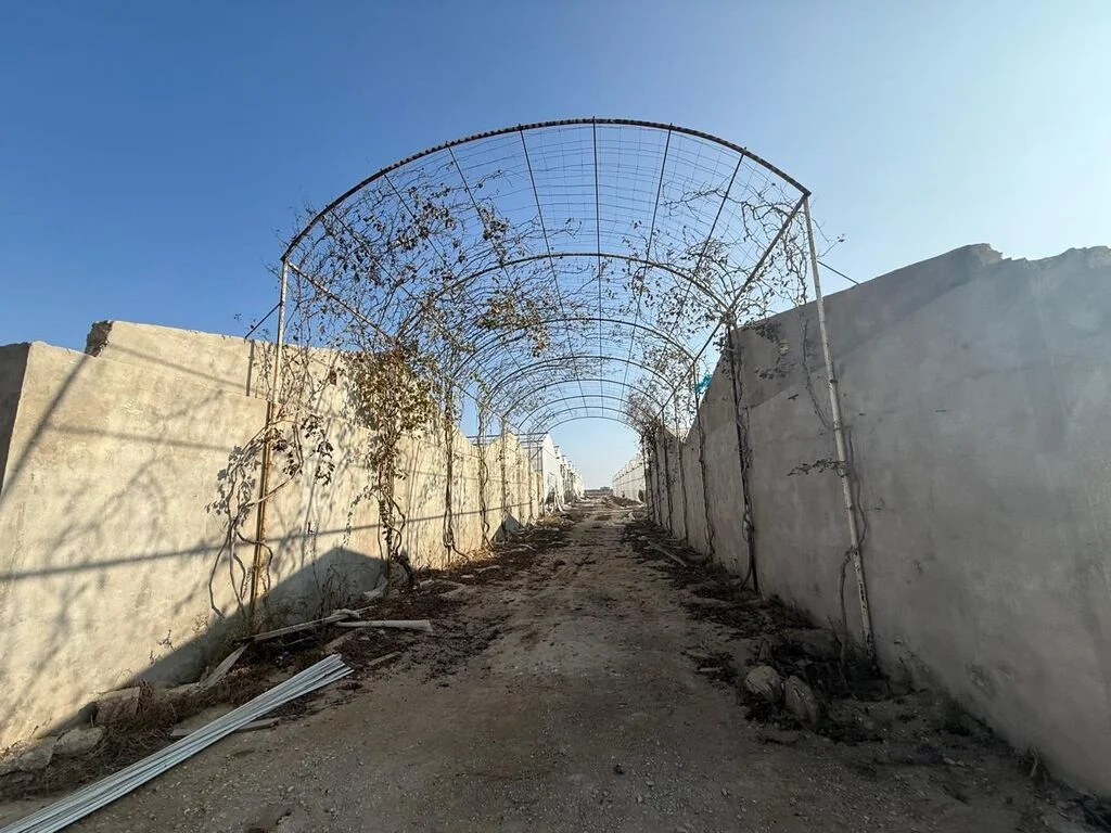 İstixana kompleksi — Agricultural Property, Baku