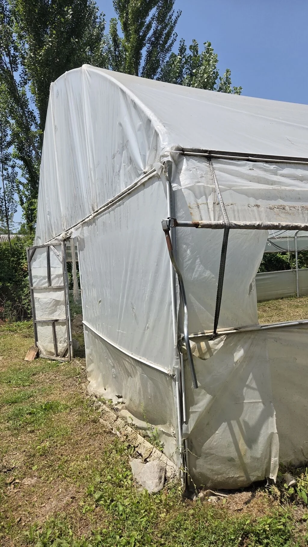 İstixana kompleksi — Agricultural Property, Ismayilli
