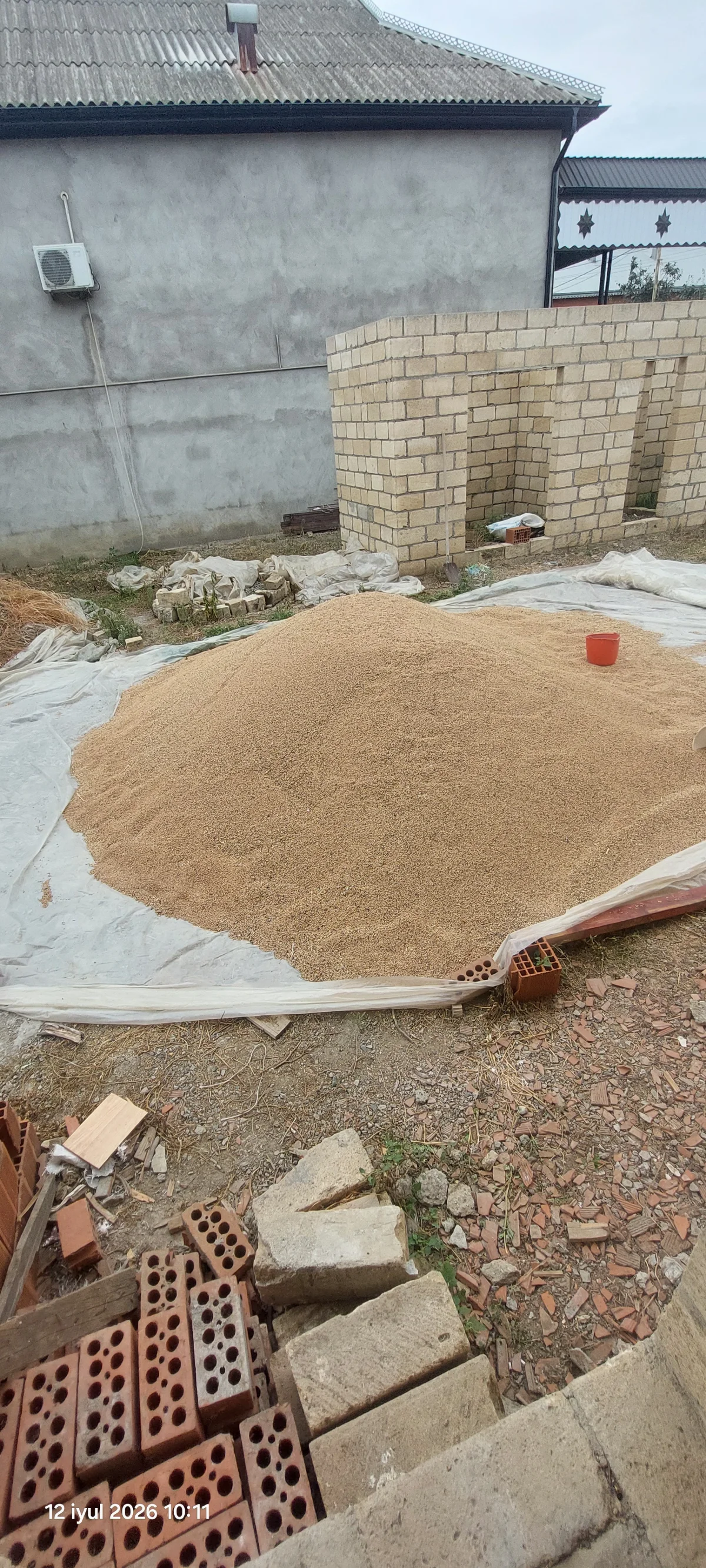 Buğda — Dənlilər, Otlar Yemlər,  Bitkilər, Cəlilabad