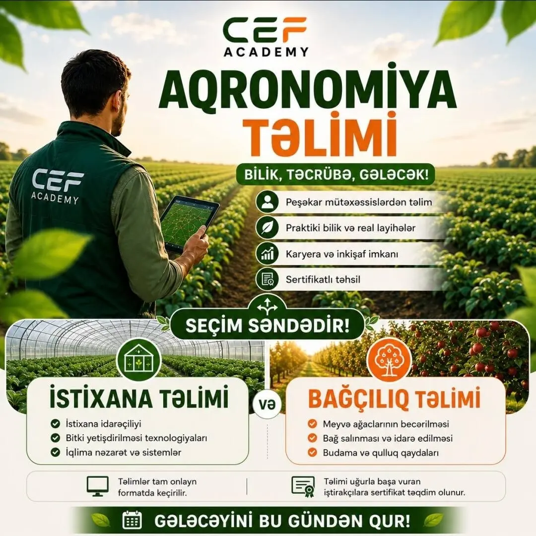 Təlim — Kənd/Təs Xidmətləri, Bakı