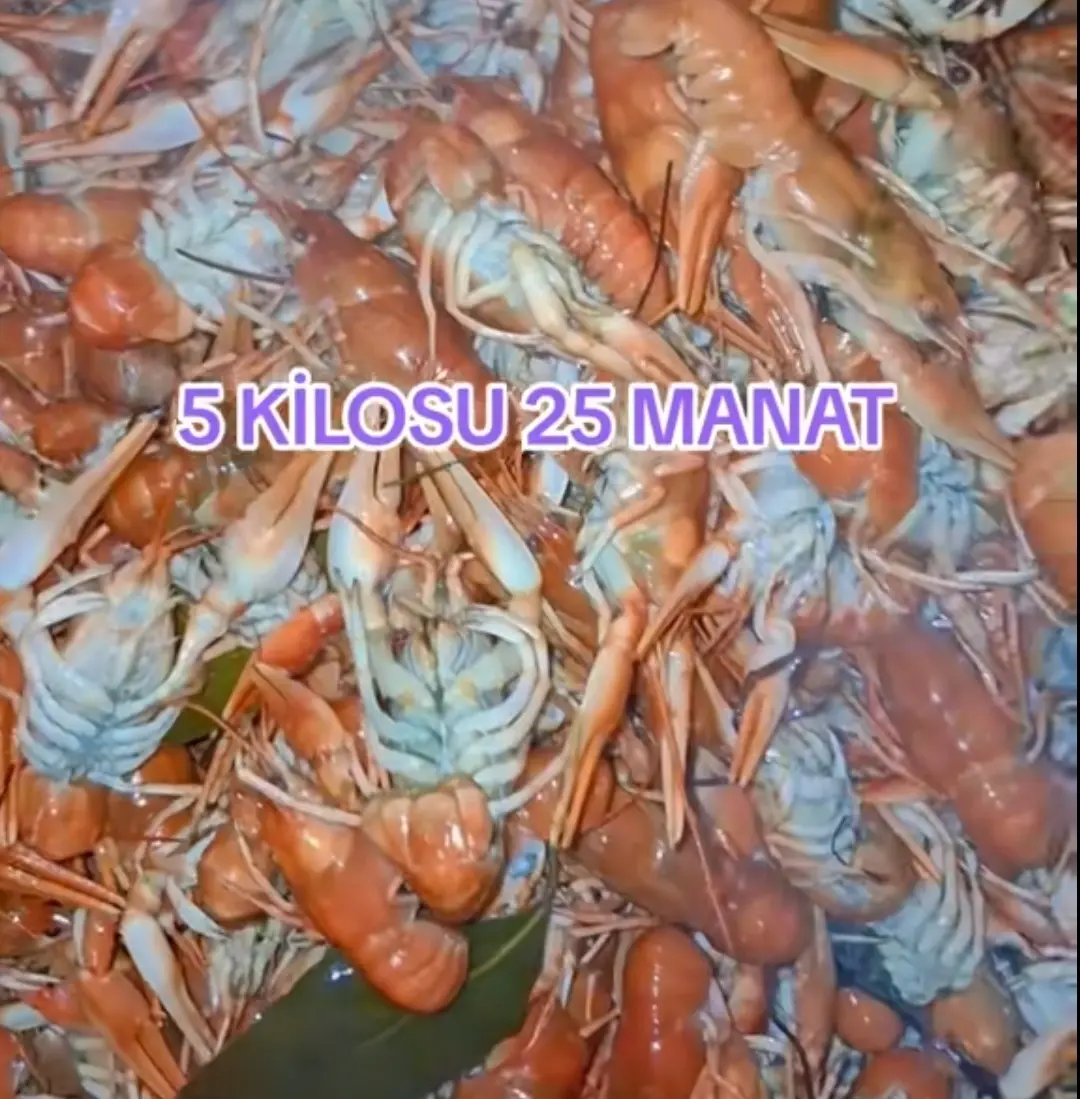 Xərçəng — Heyvanlar, Quşlar, Balıqlar, Bakı