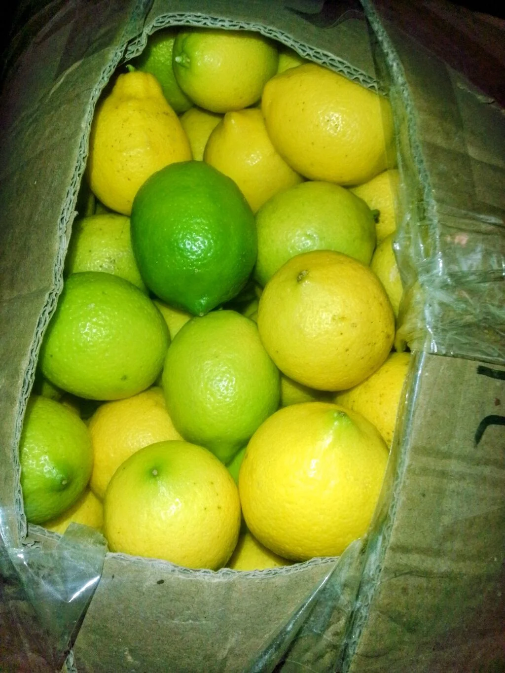 Limon — Meyvə və Giləmeyvə, Bakı