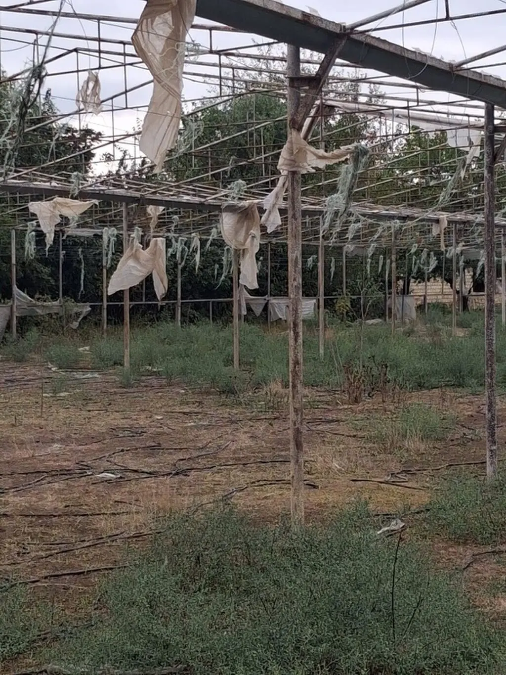 İstixana ləvazimatı — Kənd Təsərrüfatı Ləvazimatı, İmişli