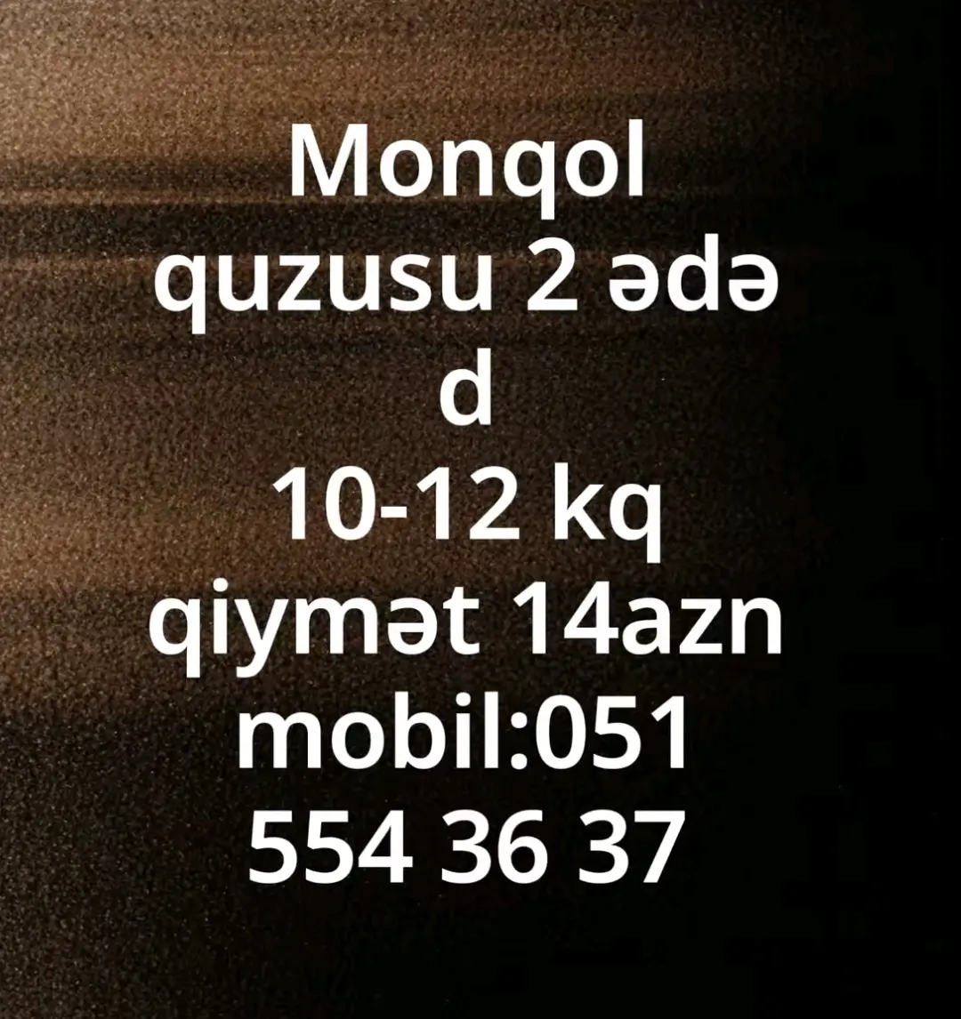 Quzu əti — Heyvanlar, Quşlar, Balıqlar, Bakı