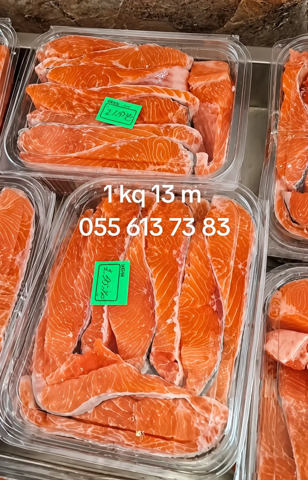 Forel — Heyvanlar, Quşlar, Balıqlar, Bakı