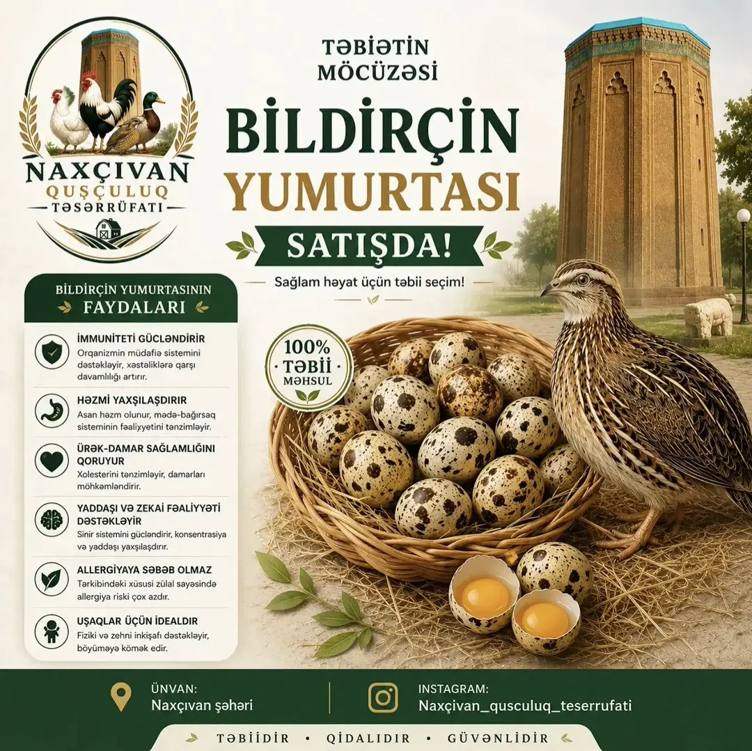 BiLDİRÇİN YUMURTASI — Heyvanlar, Quşlar, Balıqlar, Naxçıvan