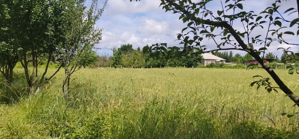 MEYVƏ BAĞI — Kənd Təsərrüfatı Əmlakı, Quba