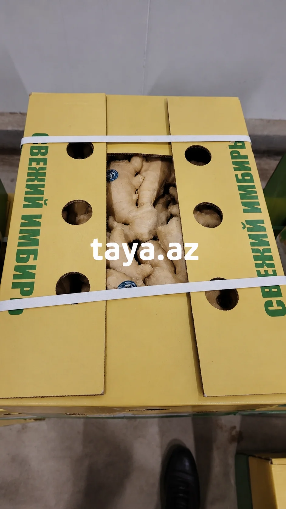 Zəncəfil — Tərəvəzlər və Göyərtilər, Sumqayıt