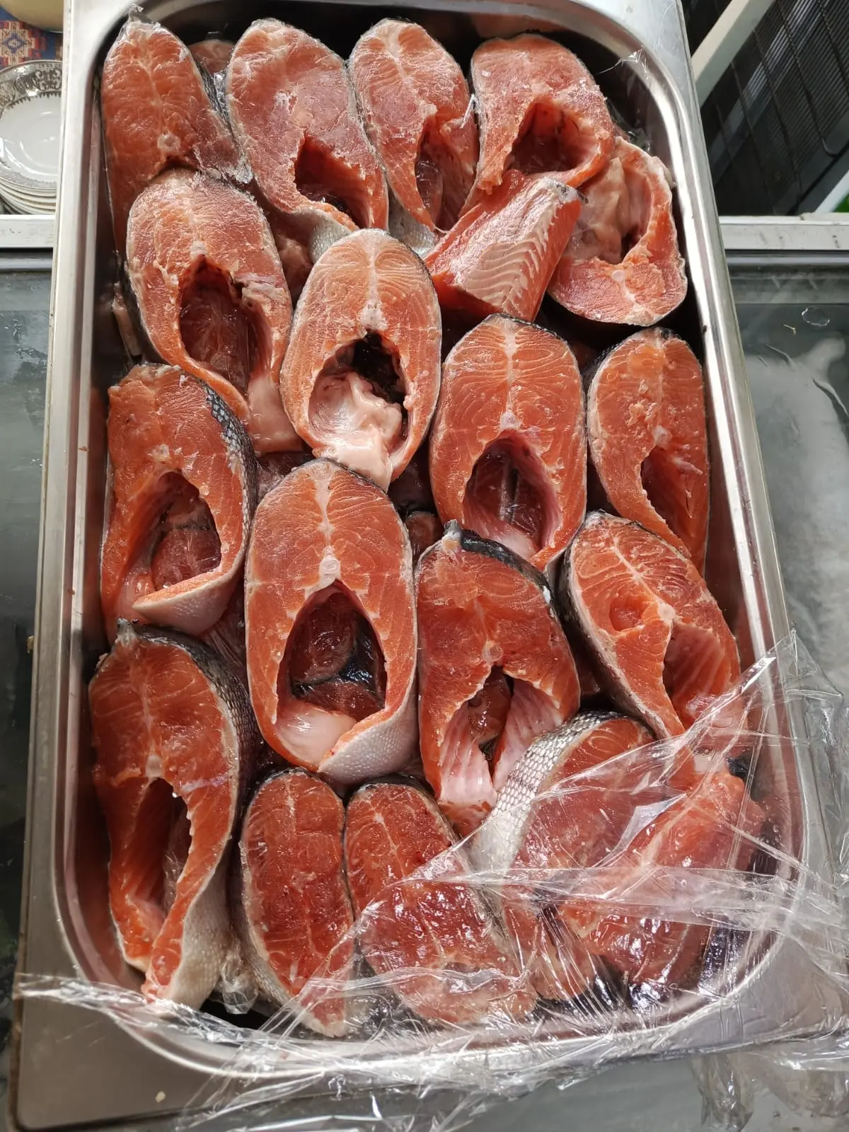 Forel — Heyvanlar, Quşlar, Balıqlar, Bakı