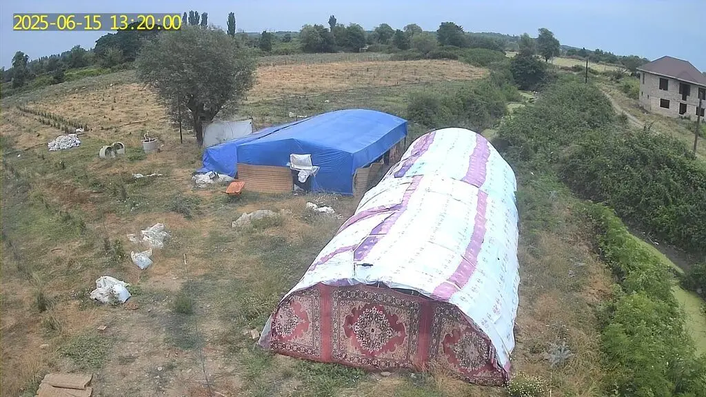 Meyvə bağı — Kənd Təsərrüfatı Əmlakı, Lənkəran