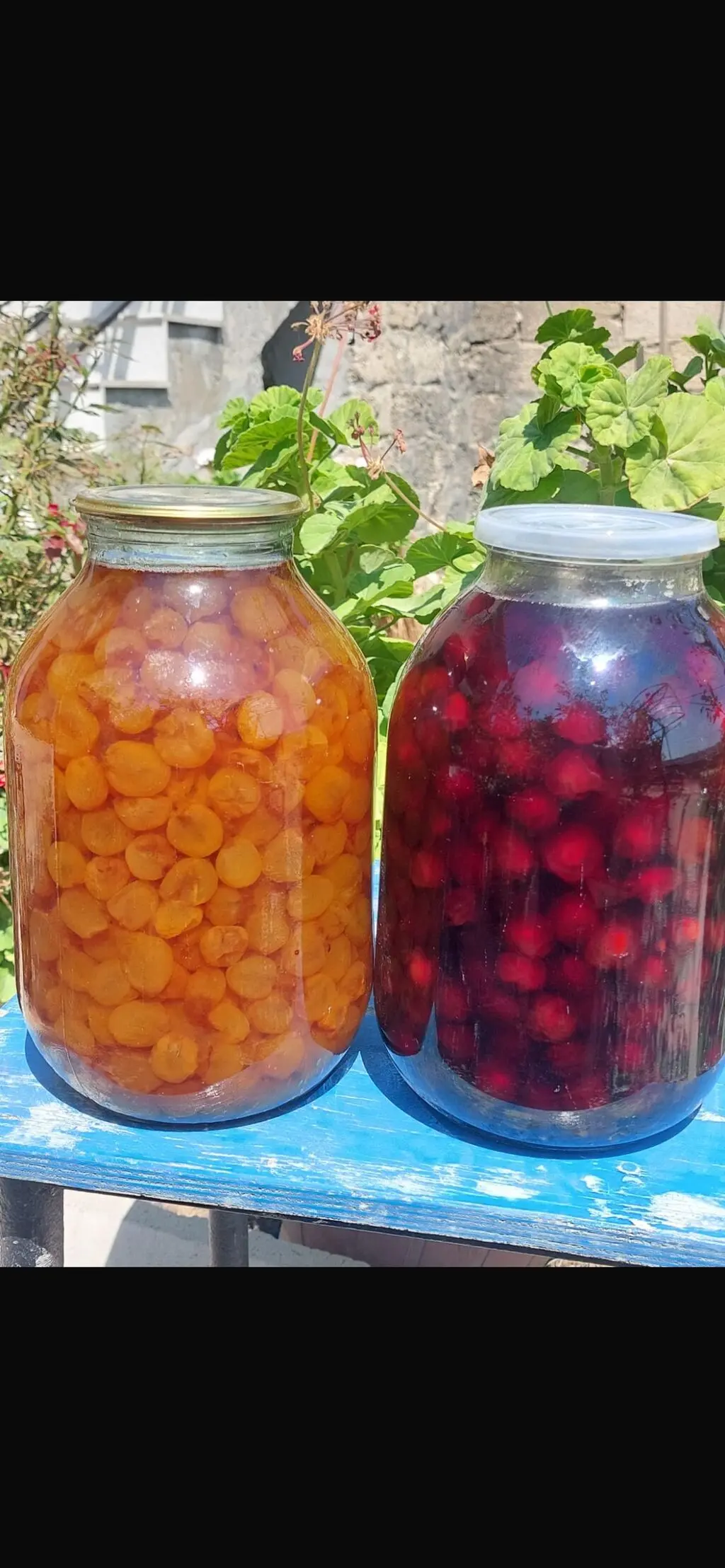 Ağ gilas mürəbbəsi — Emal Olunmuş K/t Məhsulları, Bakı