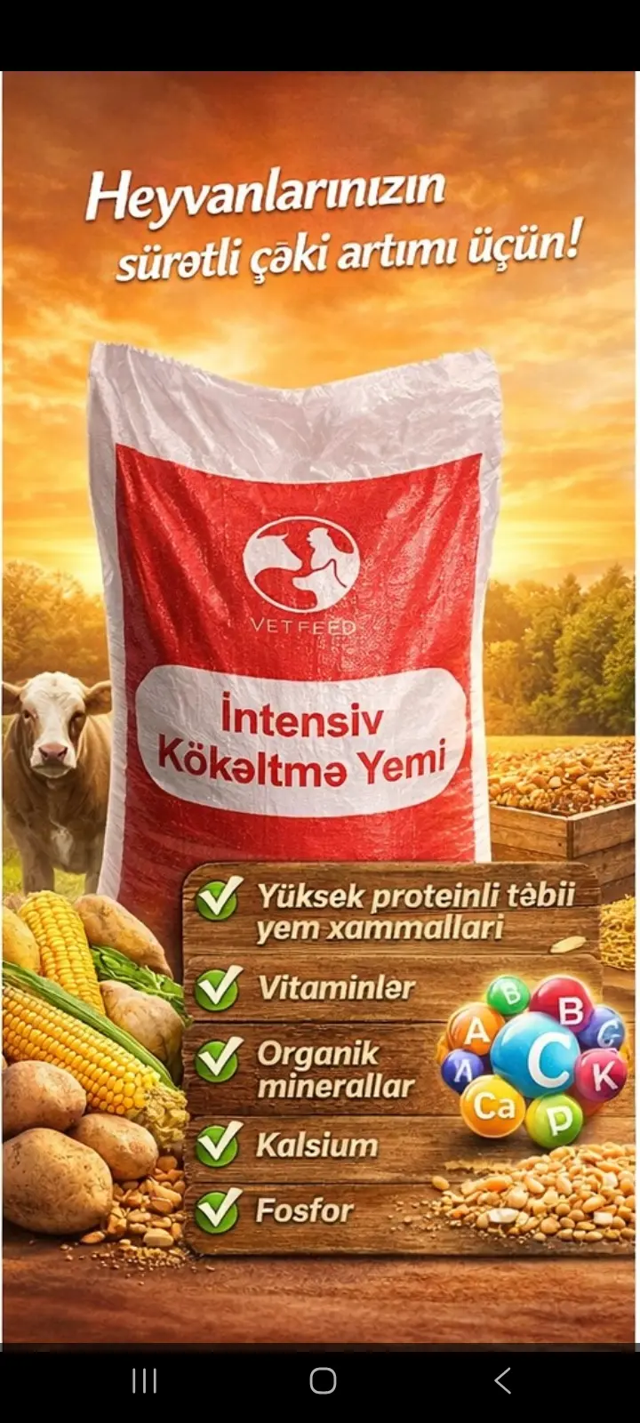 Yem — Dənlilər, Otlar Yemlər,  Bitkilər, Xırdalan