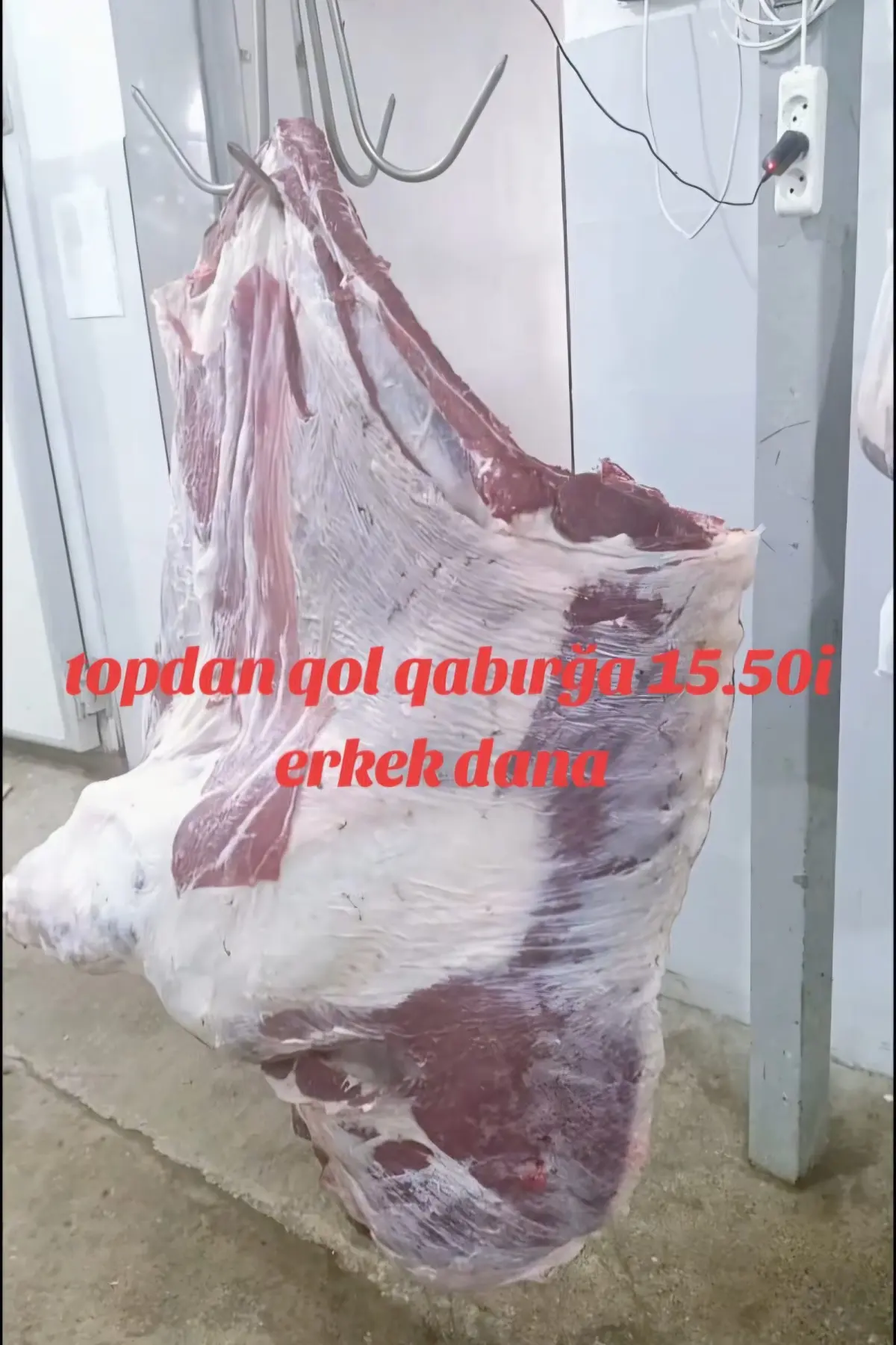 Ət — Heyvanlar, Quşlar, Balıqlar, Bakı
