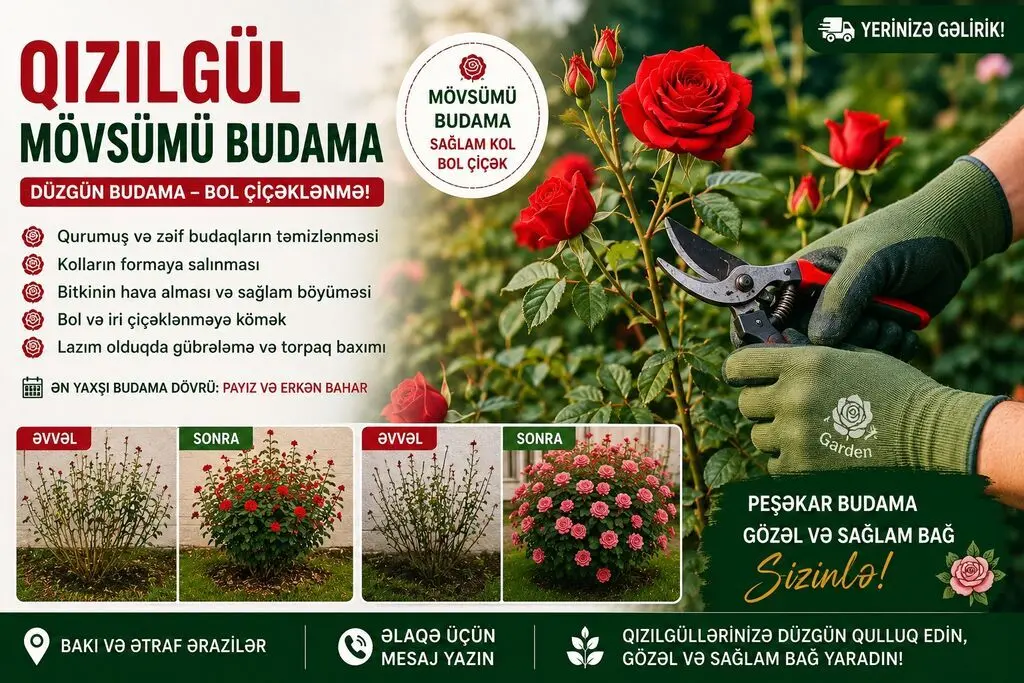 Bağban xidməti — Kənd/Təs Xidmətləri, Bakı