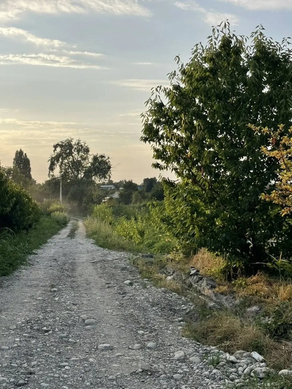Meyvə bağı — Kənd Təsərrüfatı Əmlakı, Quba