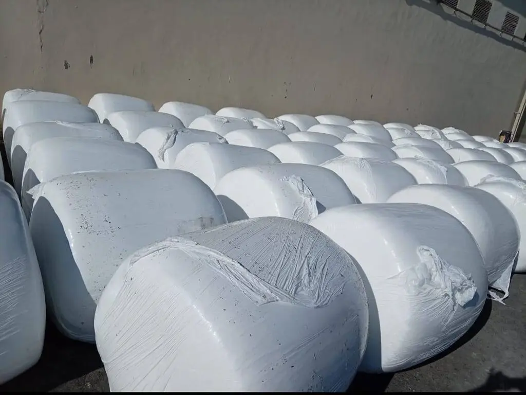 Silos — Dənlilər, Otlar Yemlər,  Bitkilər, Bərdə
