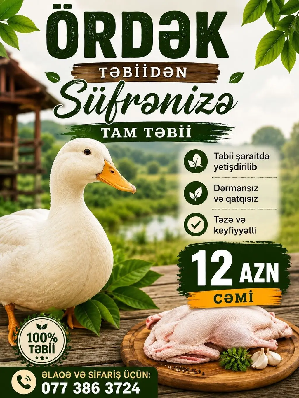 Ördək əti — Heyvanlar, Quşlar, Balıqlar, Bakı