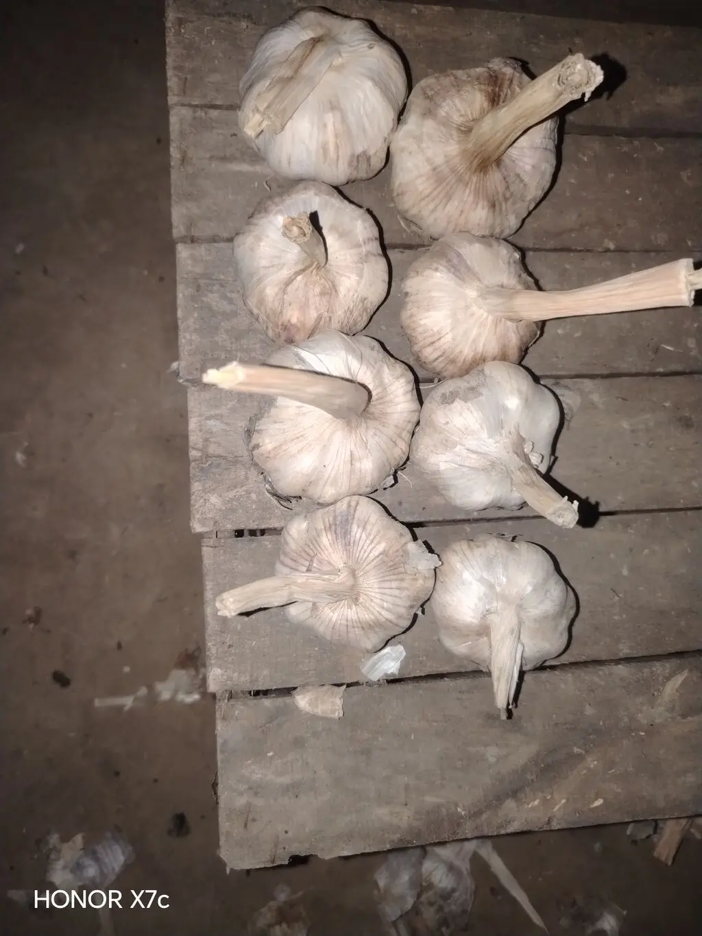 Garlic — Vegetables and Greens, Gusar