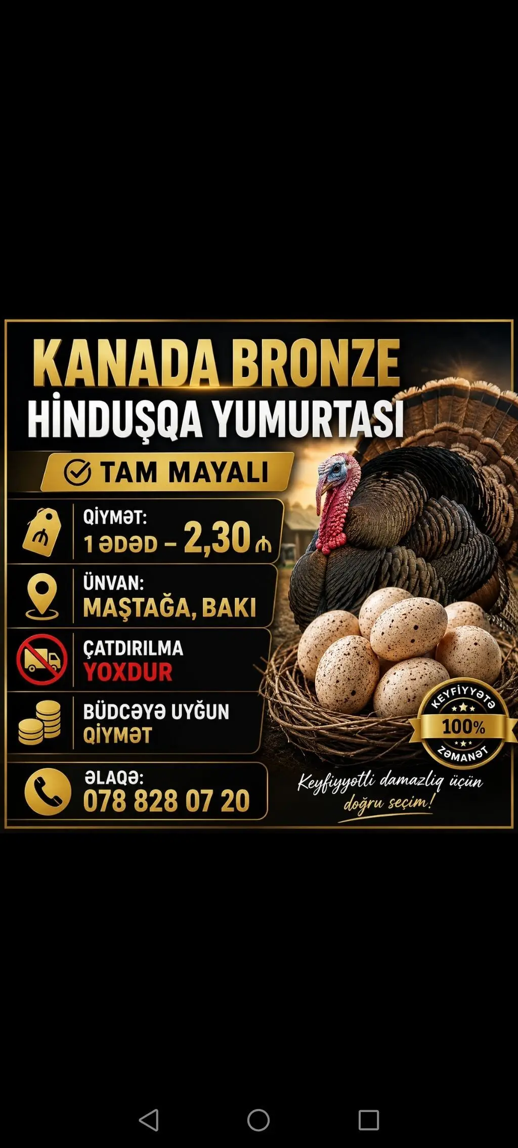 Mayalı yumurta — Heyvanlar, Quşlar, Balıqlar, Bakı