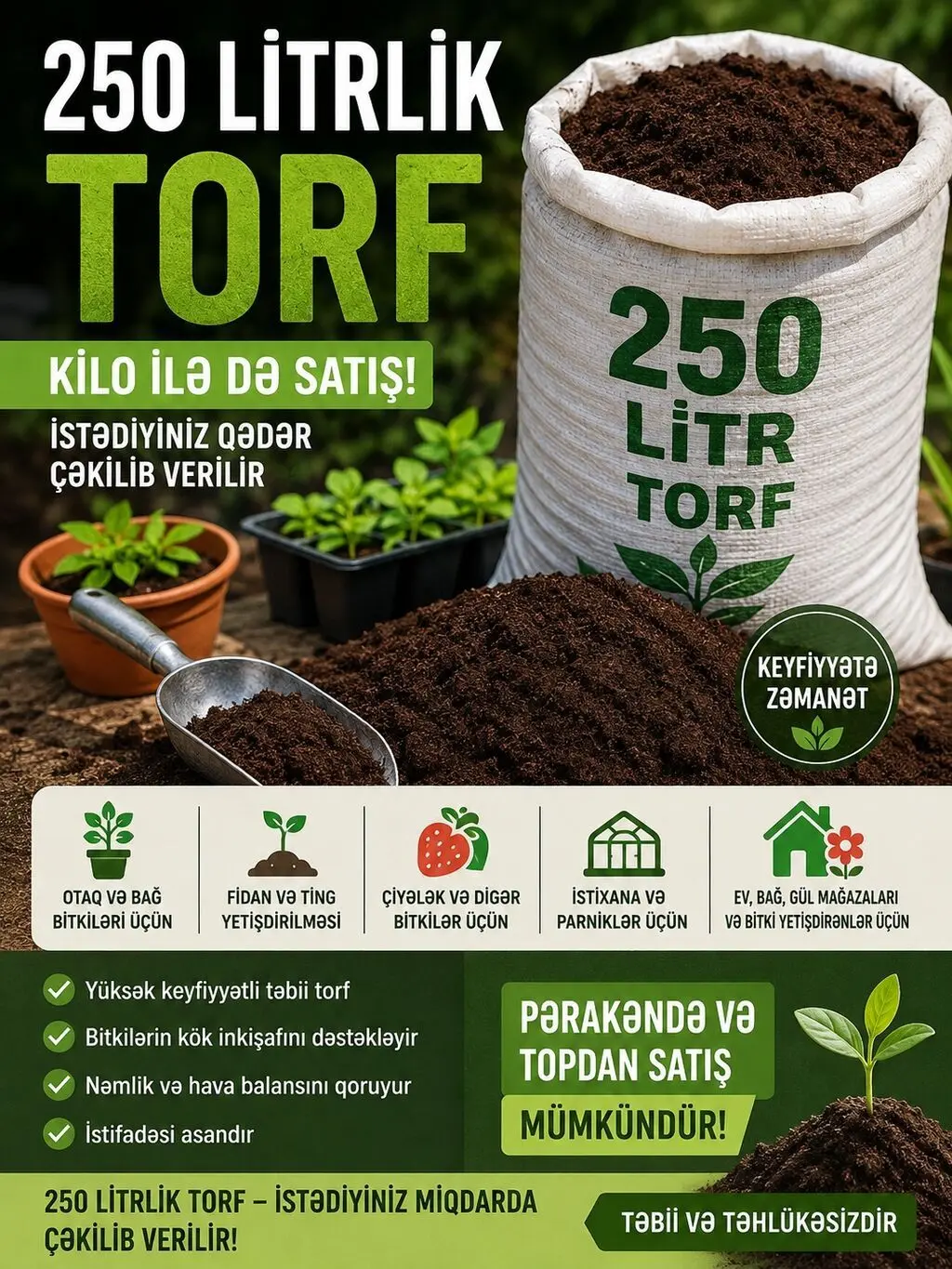 Torf — Dənlilər, Otlar Yemlər,  Bitkilər, Bakı