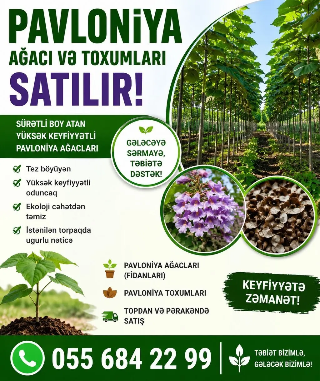 Toxum — Dənlilər, Otlar Yemlər,  Bitkilər, Bakı