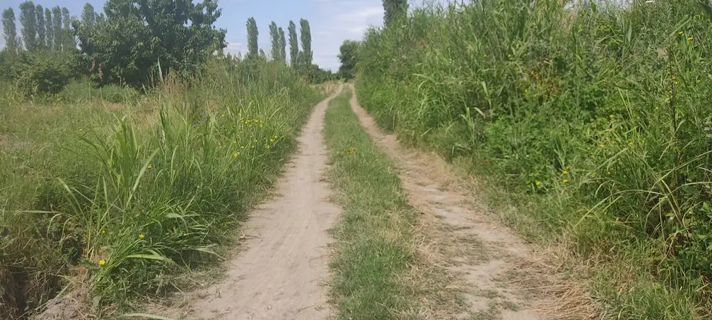 MEYVƏ BAĞI — Kənd Təsərrüfatı Əmlakı, Qusar