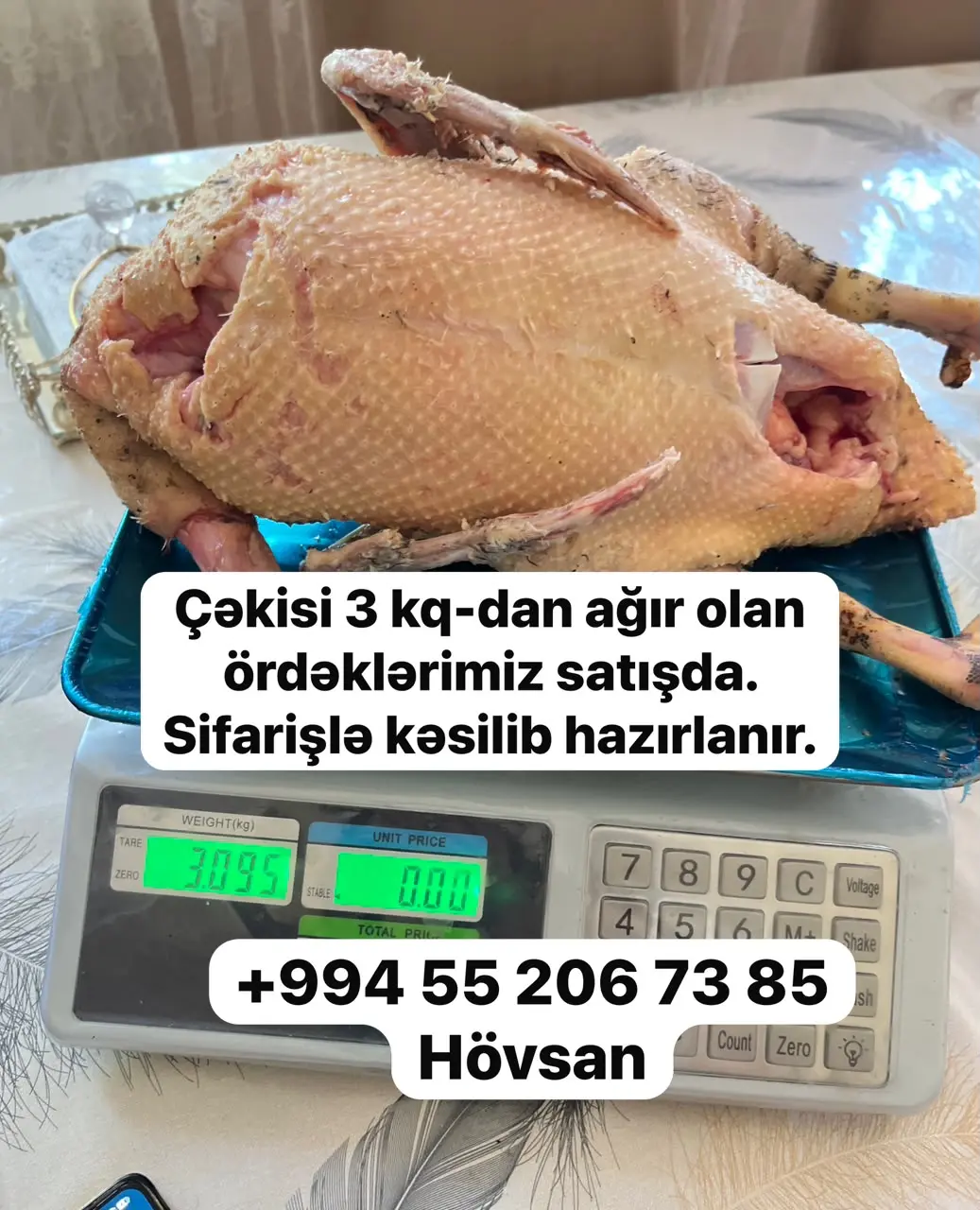 Ördək əti — Heyvanlar, Quşlar, Balıqlar, Bakı
