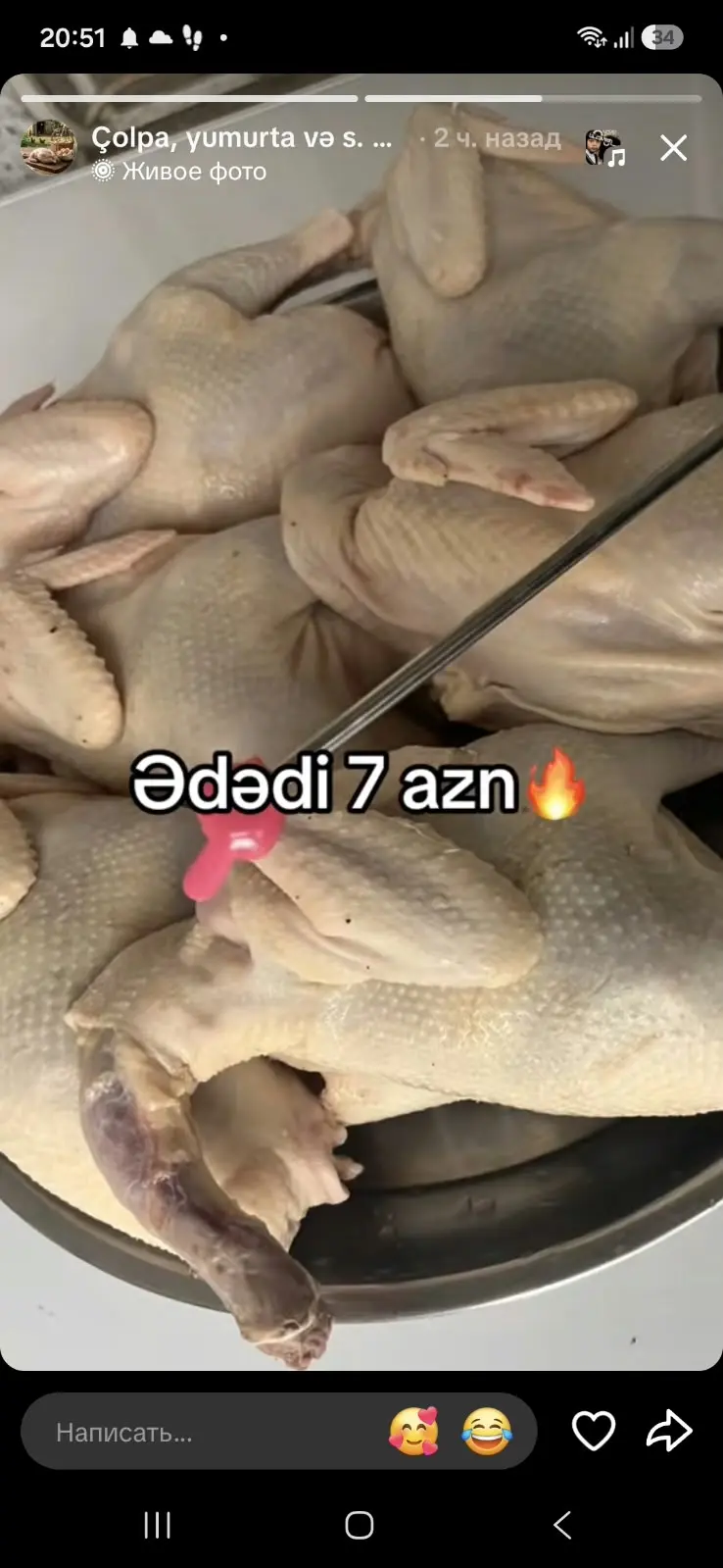 Ördək əti — Heyvanlar, Quşlar, Balıqlar, Bakı