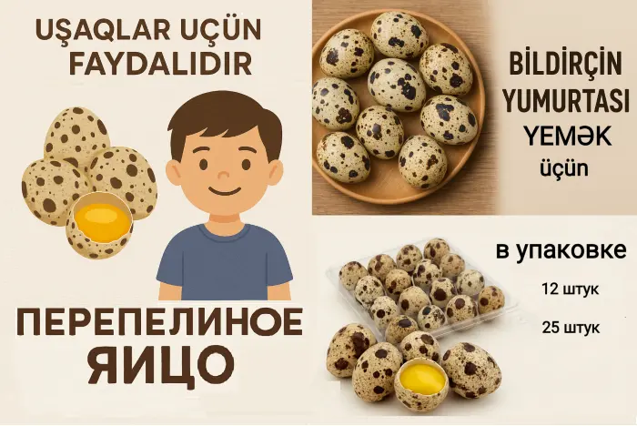 BiLDİRÇİN YUMURTASI — Heyvanlar, Quşlar, Balıqlar, Bakı