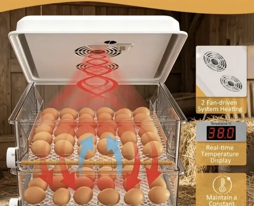 INKUBATOR — K/T texnikası və ehtiyyat hissə, Gəncə