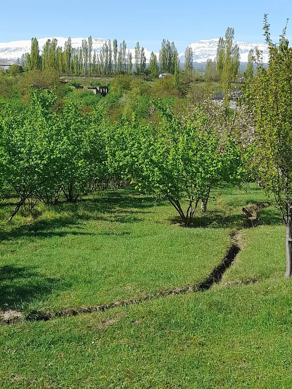 MEYVƏ BAĞI — Kənd Təsərrüfatı Əmlakı, Qusar