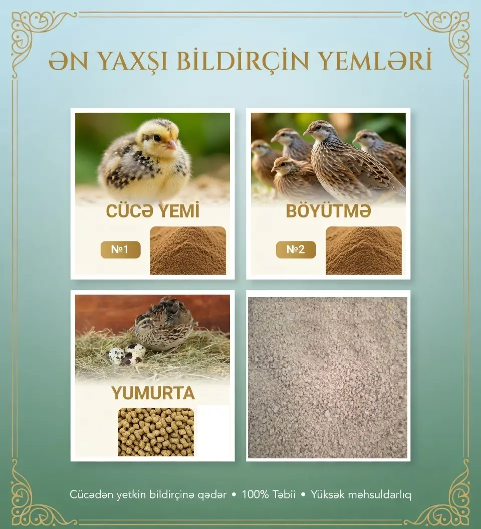 YEM — Dənlilər, Otlar Yemlər,  Bitkilər, Bakı