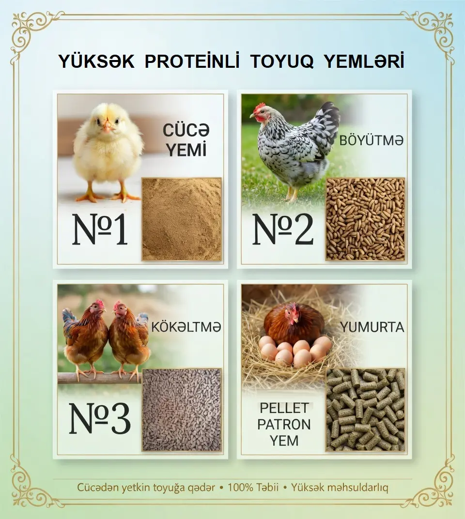 YEM — Dənlilər, Otlar Yemlər,  Bitkilər, Bakı