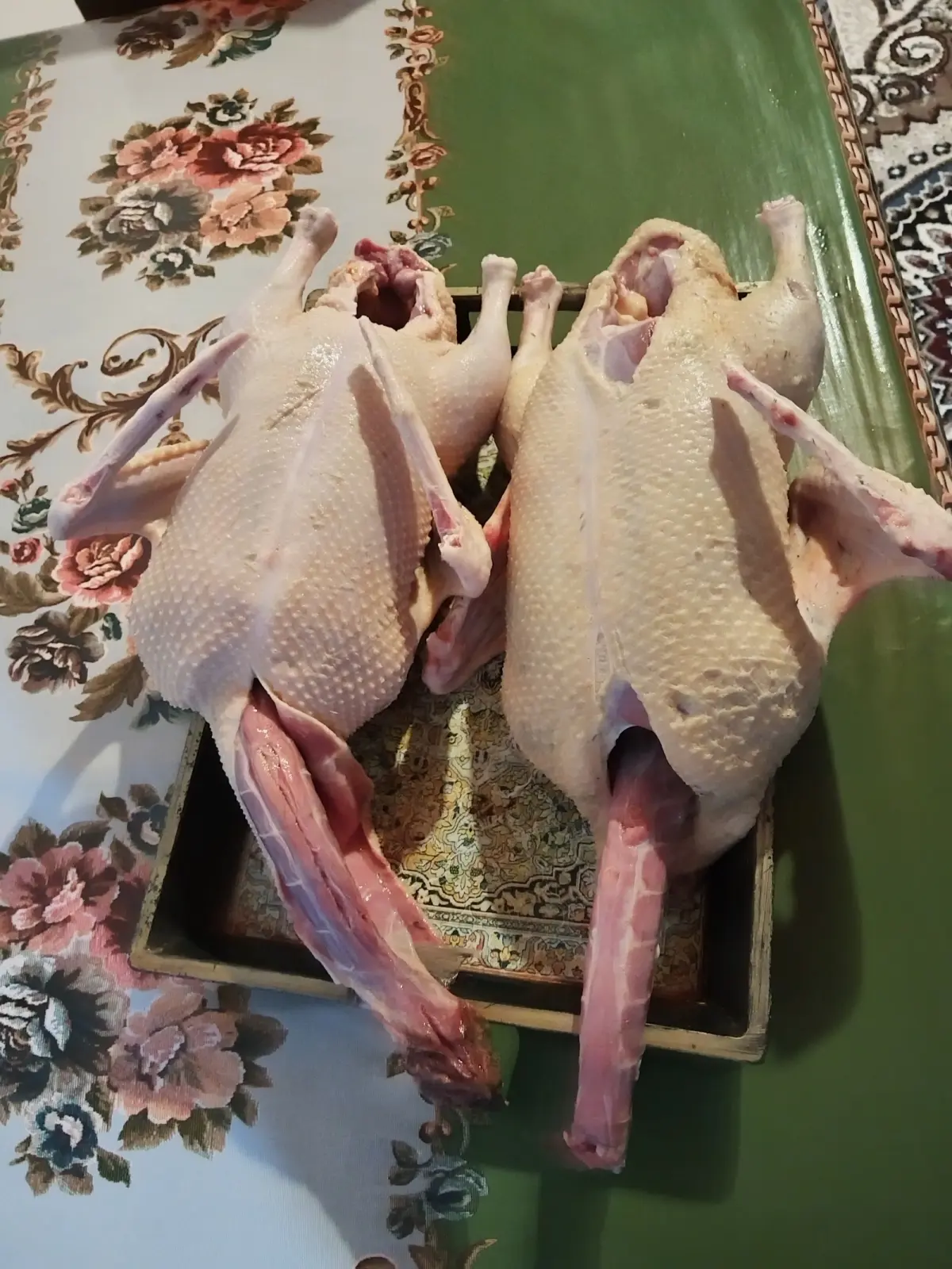 ÖRDƏK — Heyvanlar, Quşlar, Balıqlar, Lənkəran